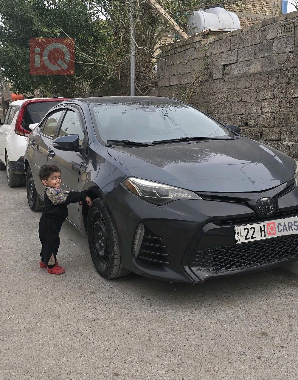 تويوتا كورولا